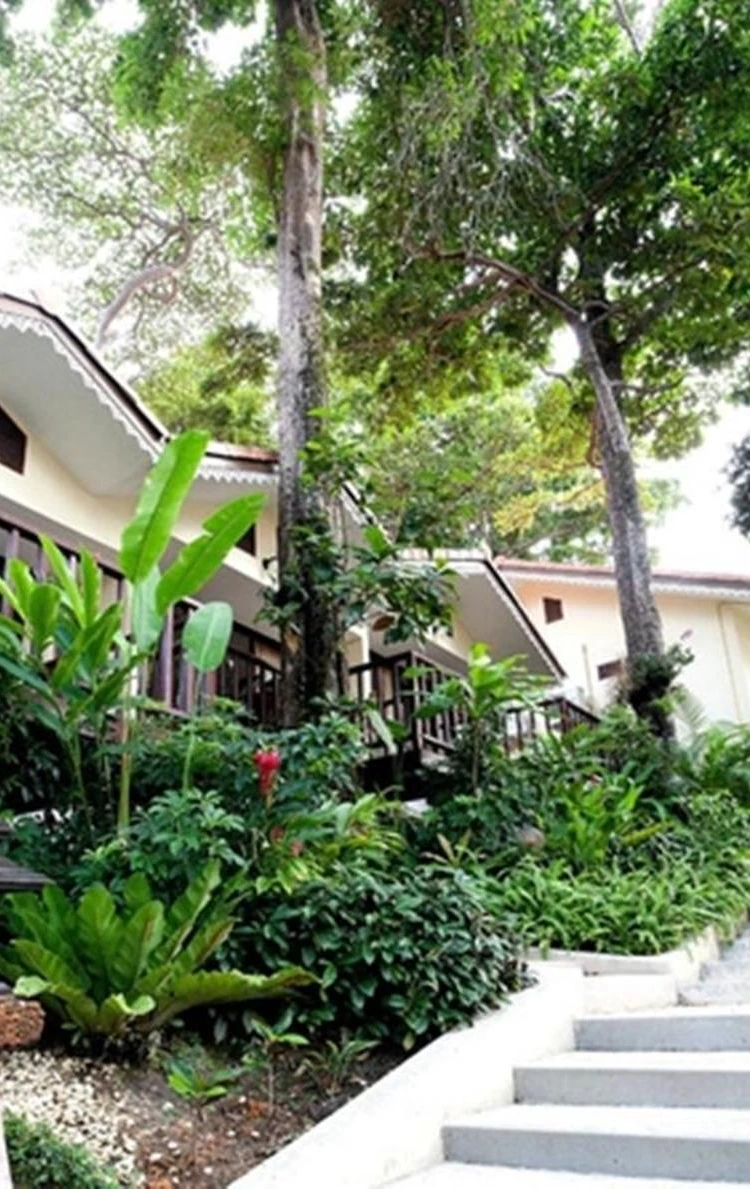 รูปภาพของช้างคลิฟรีสอร์ท
