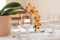 Altamira Residence - Wifi