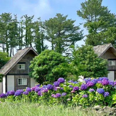 Log Park Dochidol Ranch Hotels near إيفريس غولف آند ريزورت