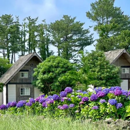 Log Park Dochidol Ranch Отели рядом с достопримечательностью «Курорт и гольф-клуб Everis»