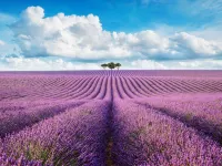 Hôtel Ibis Budget Montélimar