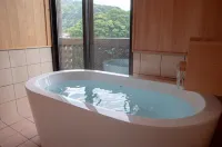 霧島美山酒店 - 山景