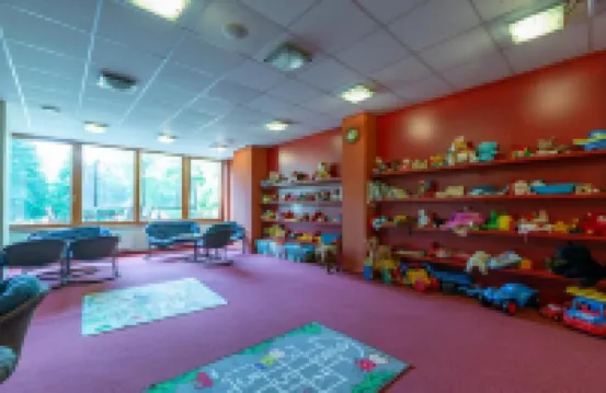 Parkhotel Harrachov Hotels in Harrachov