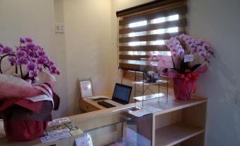 Guesthouse Coco Hiroshima (Female Only)