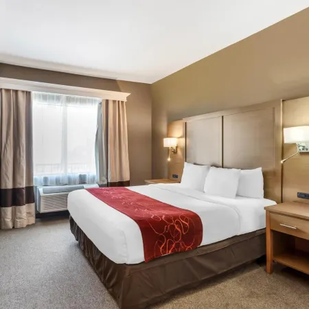 Comfort Suites Bush InterContinental Airport