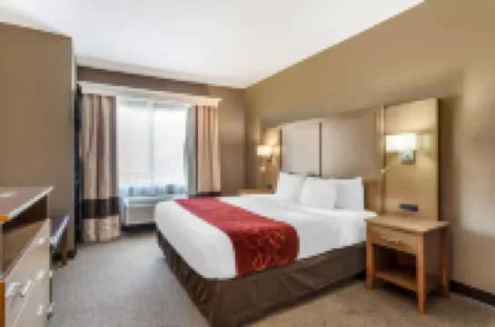 Comfort Suites Bush InterContinental Airport