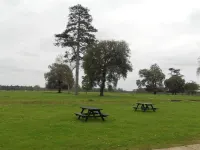 ذا ستابلز فنادق في Wangford with Henham