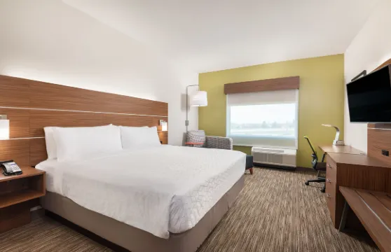 蓬塔戈達智選假日套房酒店