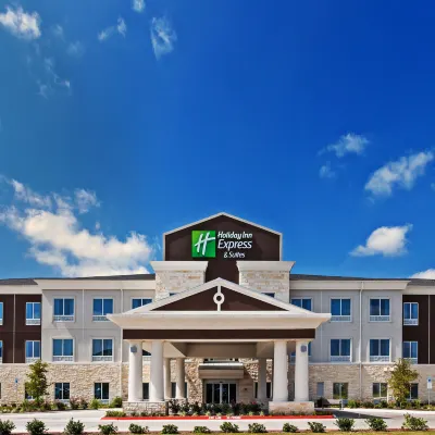 Holiday Inn Express & Suites Killeen - Fort Hood Area by IHG Hotels near H-E-B plus!