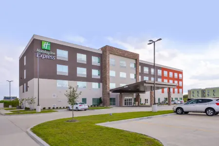 Holiday Inn Express Donaldsonville Отели рядом с достопримечательностью «Хаумас Хаус энд Гарденс»