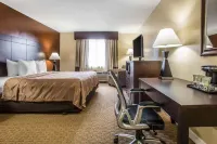 Quality Inn O'Hare Airport Hotels in Schiller Park