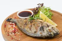 임페리아 툴라 호텔