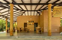 Tree of Life Nature Resort - อ่างจากุชชี่