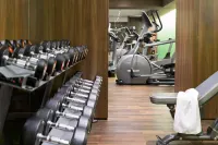 Holiday Inn VIENNA CITY by IHG - Gym