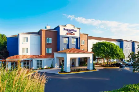 SpringHill Suites Atlanta Six Flags Отели рядом с достопримечательностью «Парк штата Суитуотер Крик»