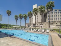Pullman São Paulo Guarulhos Airport - Pools