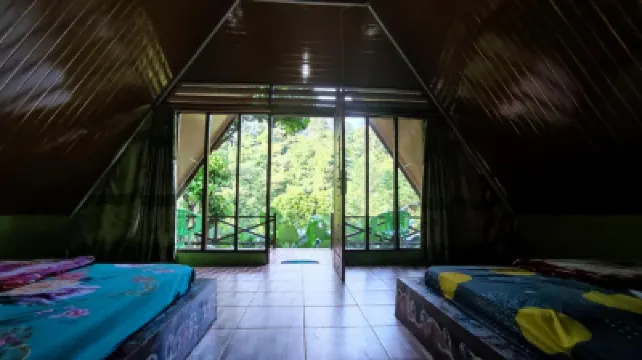 唐卡漢綠色森林酒店 酒店