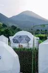 Damar Valley Glamping Hotels in Kledung