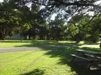 Greytown Campground Hotels in Greytown