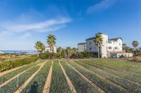 Sea Eco Beach - Bungalows