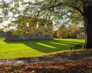 The Covenstead - parking