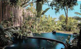 Somewhere Only We Know Resort
