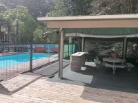 Woodlands Motel - piscine