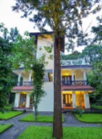 Hotel Treetop