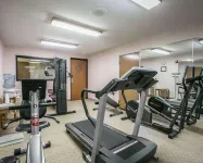Quality Inn & Suites Woodstock Near Lake Geneva - gimnasio