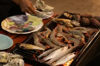 Wings House Homestay Ho Tram