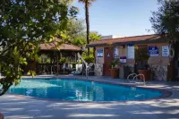 Adelaide Inn - Pools