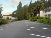 Wallaceville Motor Lodge - Motels