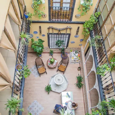 بنسيون إنترناشونال Hotels near دار عبادة يهودي