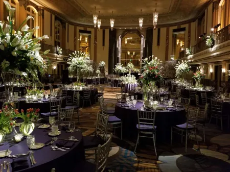 Hilton Cincinnati Netherland Plaza Отели рядом с достопримечательностью «Цинциннати Зу & Ботаникал Гарден»