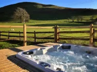 The Hand at Llanarmon - 4-Star