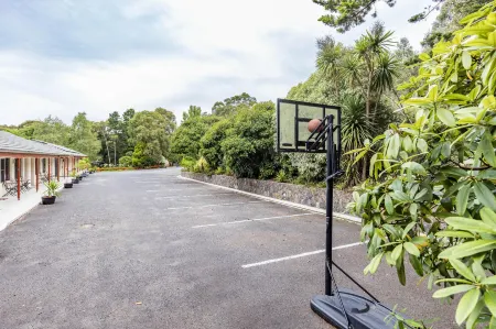 Black Forest Motel Отели в г. Джисборн