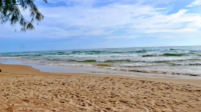 富國島棕櫚樹酒店