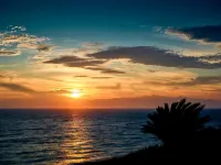 Resort Villa Miko - Homestays
