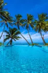 Little Polynesian Resort - Pools