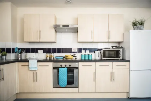 Newport Student Village (Campus Accommodation) - 4 estrellas