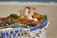 Maalu Maalu Resort & Spa - Thema Collection - Aamiainen