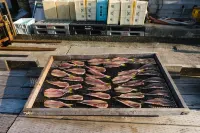 B&B Mikawa - Kanazawa Fish Harbour - breakfast
