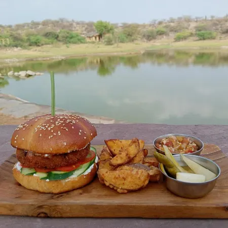 Brij Lakshmansagar, Pali