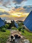 Ukrist Farm Hill Phu Chi Fa - Wifi