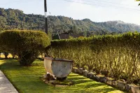 Apostles View Motel Hotels in 