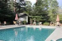 Majestic Mountain Inn - Family