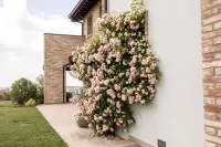 Villa Agavì Hotels in Zocca