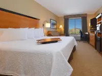 Hampton Inn & Suites Carson City Hotels in Carson City