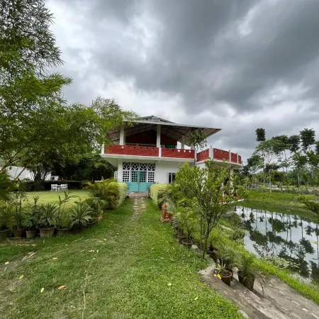 Musa Jungle Retreat