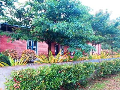 Honey Tree Polonnaruwa